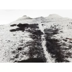 KARE Design Teppiche-Teppich Hide Schwarz-Weis