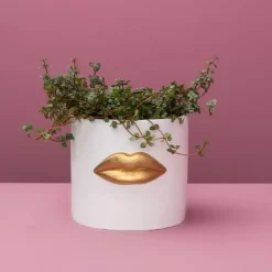 KARE Design Aufbewahrung & Ordnung-Ubertopf Lips Weiss/Gold