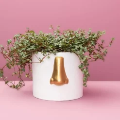 KARE Design Sonstiges & Zubehör Accessoires-Ubertopf Nase Weiss/Gold