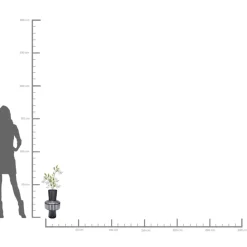 KARE Design Vasen-Vase Roulette Belly 42