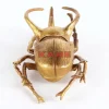 KARE Design Bilder-Wandschmuck Atlas Beetle Gold