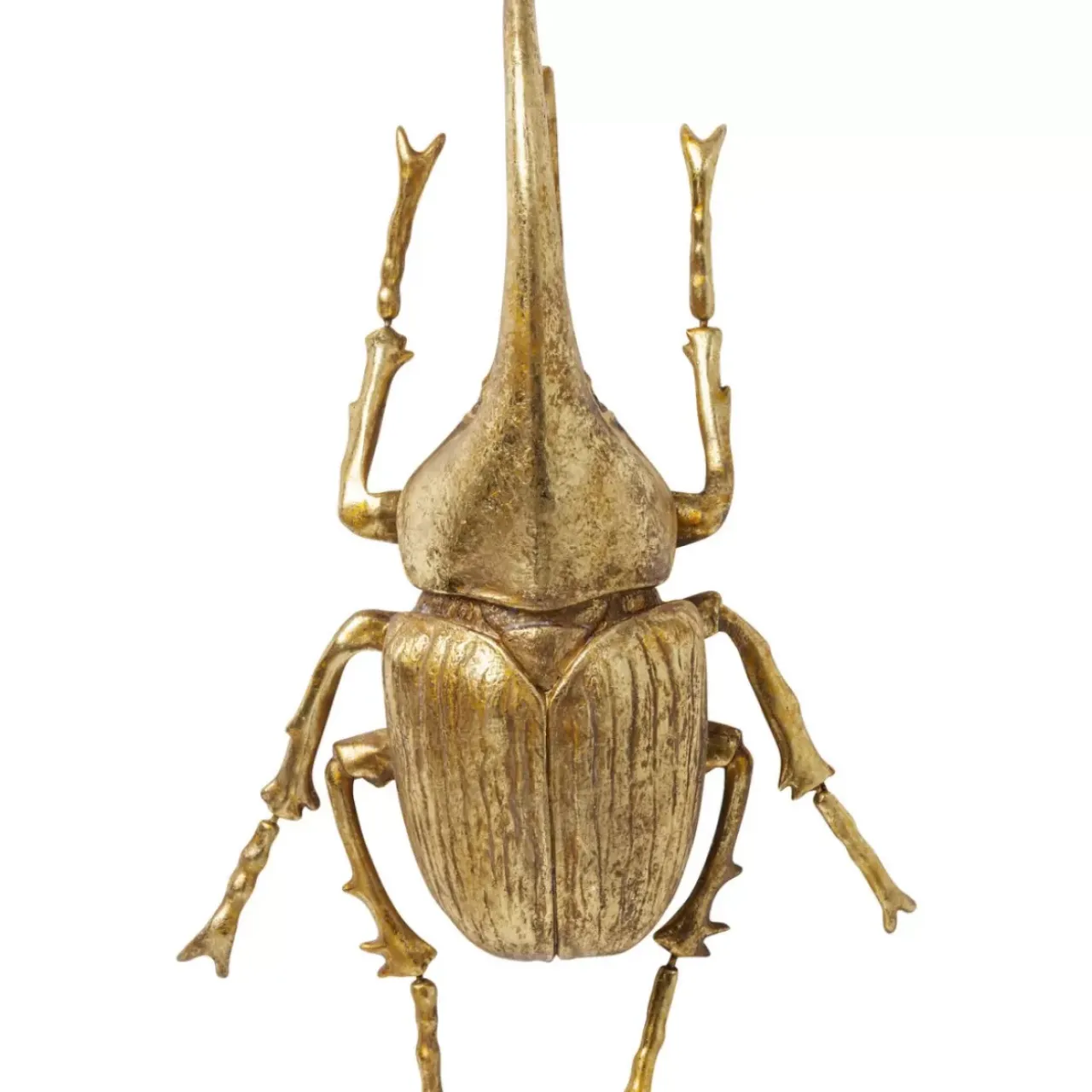 KARE Design Bilder-Wandschmuck Herkules Beetle Gold