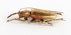 KARE Design Bilder-Wandschmuck Longicorn Beetle Gold