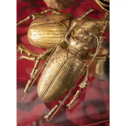 KARE Design Bilder-Wandschmuck Longicorn Beetle Gold