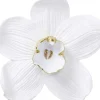 KARE Design Bilder-Wandschmuck Orchid Weis 54Cm