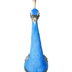 KARE Design Bilder-Wandschmuck Peacock