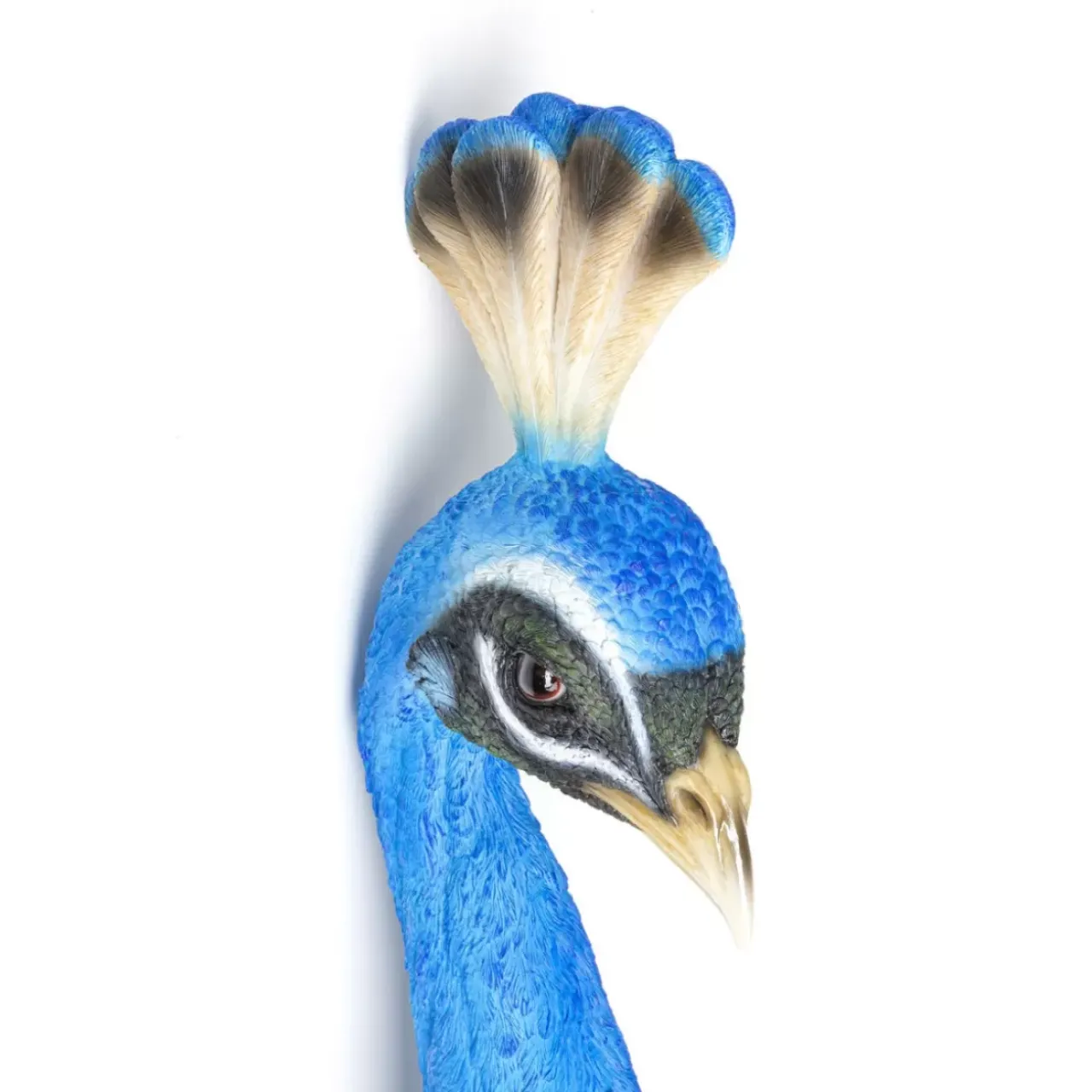 KARE Design Bilder-Wandschmuck Peacock